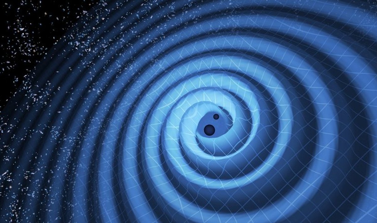 Kaks musta auku sulavad kokku, sünnitades gravitatsioonilaineid meist 1,4 mlrd valgusaasta kaugusel. (Foto: T. Pyle / LIGO)