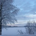 Leili metsalood | Need lumised talved