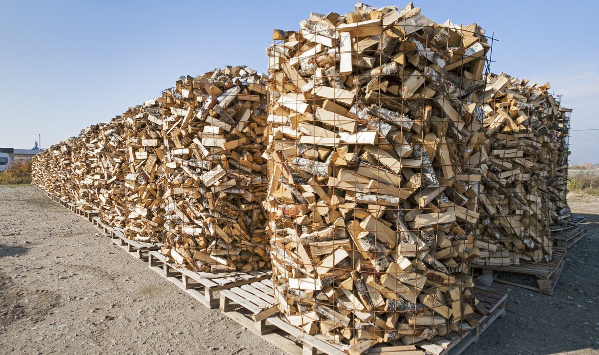 Kas küttepuud peaks ikka olema peamine ekspordiartikkel?