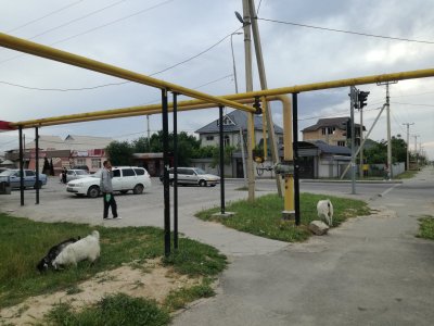 Kasahstanis mängib igaüks taksot. Kitsede vahel auto peatamine on lihtne ning tihti küsivad isehakanud hoopis soodsamat hinda, kui n-ö päris taksod. 