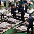 Maailma suurim tuunikalaturg on koroona tõttu suurde kriisi sattunud