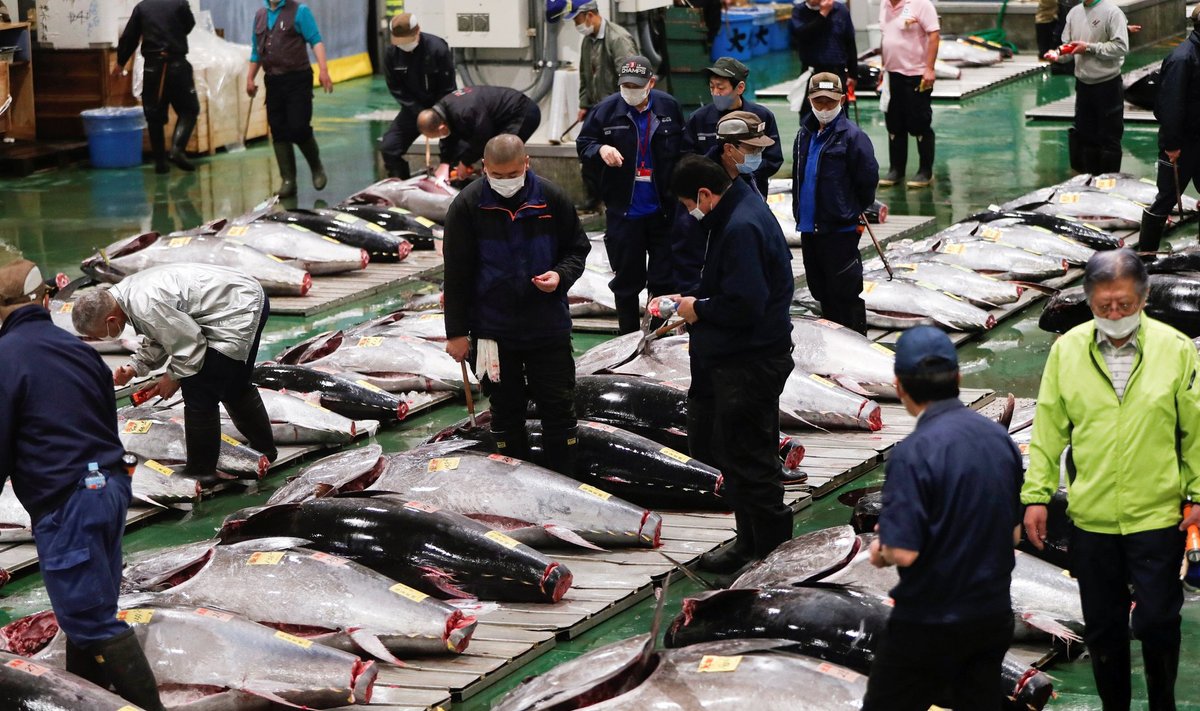 Hulgimüüjad maailma suurimal Toyosu kalaturul Tokyos.