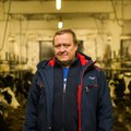 Leht: Eesti piimalehmad on piiri taga kõrges hinnas