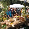 Unustatud maitsete turul: Itaalia Provence's