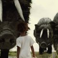 PÖFFi film: Beasts of the southern wild