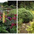AIADISAINER: kuidas teha kindlaks oma aia muld ja plaanida taimealasid
