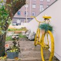 ФОТО и ВИДЕО | В Таллинне активно создают и развивают учебные сады и огороды