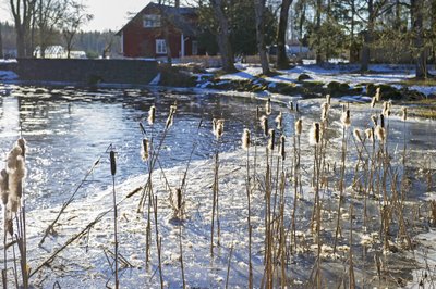 KEVADPÄEV: Võidula mõisa külje all voolavas jões on kevad juba päral.