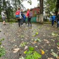 DELFI FOTOD | Pikne tabas Tartu kooli hoovis puud, õpilaste seas puhkes paanika