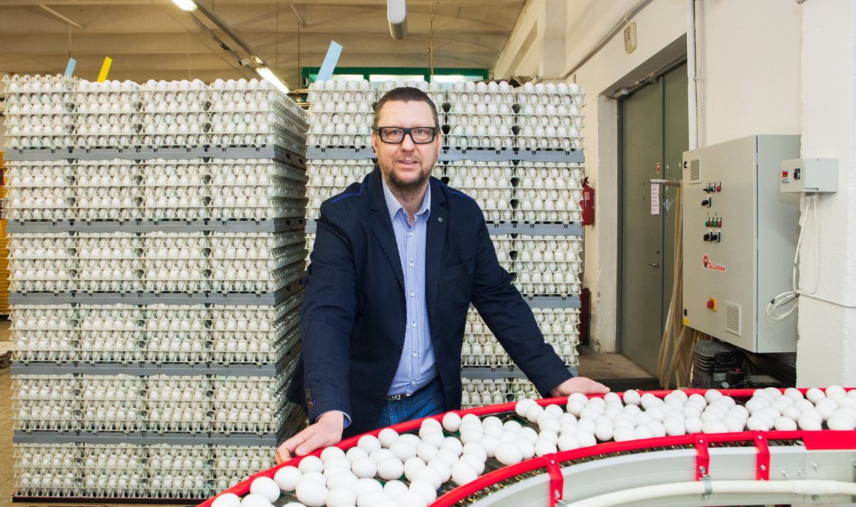 Eesti suurima kanamunatootja Dava Foodsi Eesti juht Vladimir Sapožnin ütleb, et nende ettevõtte munad on puhtad, sest nad jälgivad väga täpselt ohutusnõudeid.