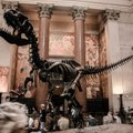 В Швейцарии с аукциона за 5,3 млн долларов продан скелет самого известного динозавра