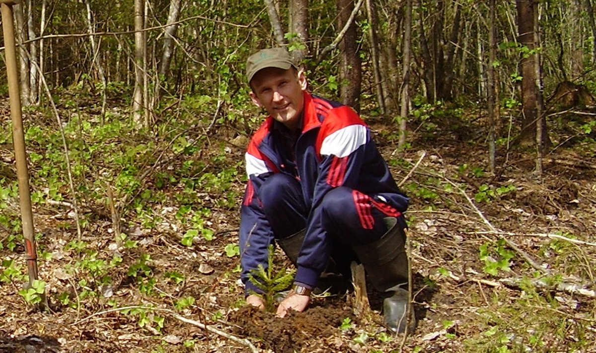 Võrumaa Metsaomanike Liidu juht Erki Sok on ka ise hoolas metsauuendaja. Pildil tegeleb ta kuusepuude istutamisega.