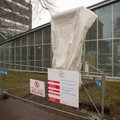 ФОТО и ВИДЕО: Подаренный Эстонии элемент Берлинской стены доставили в Таллинн