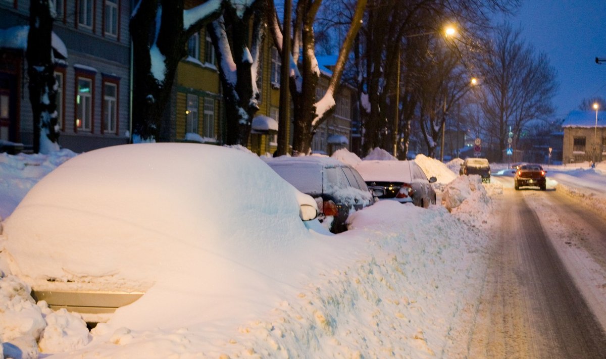 Lumi Tallinnas