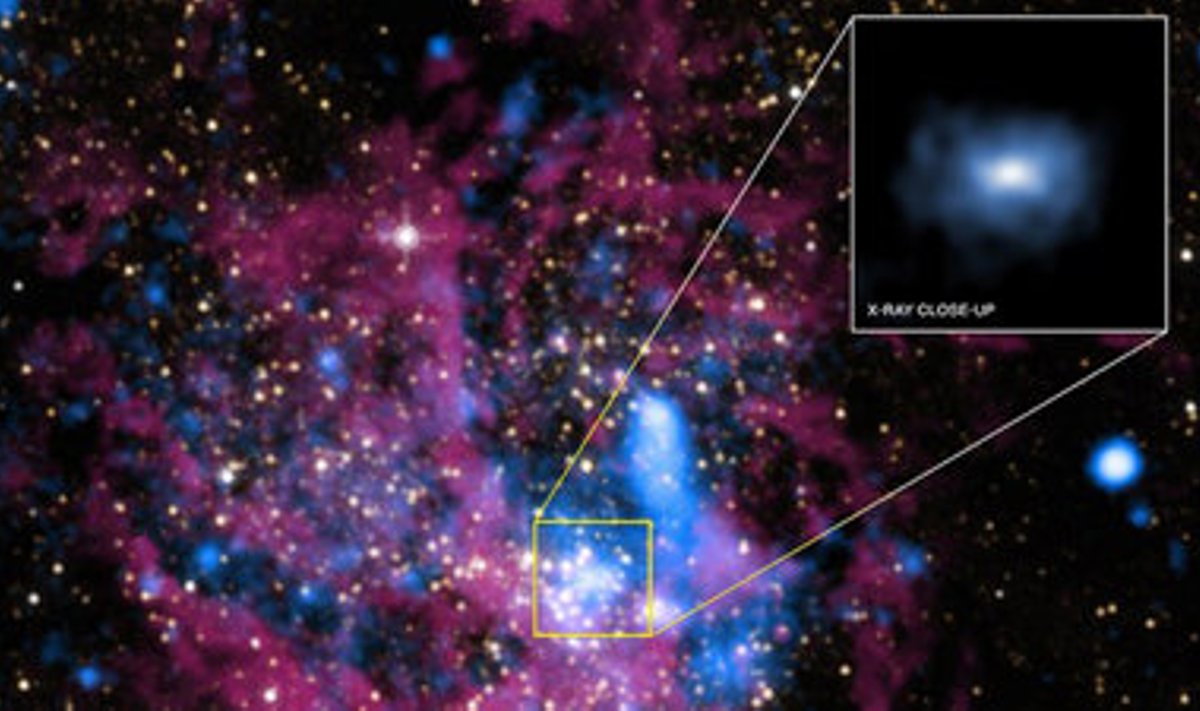 Galaktika kese, suurendatult Sgr A* lähiümbrus. NASA/UMass/Q.D. Wang et al./NASA/STScI