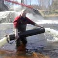 VIDEO: Jägala jõkke lasti 5000 kaheaastast lõhet