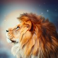 Taevas kõrgub jõulise mõjuga Lõvi sodiaagimärgi täiskuu