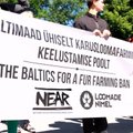 DELFI VIDEO: Tammsaare pargis avaldati täna meelt karusloomafarmide keelustamise poolt