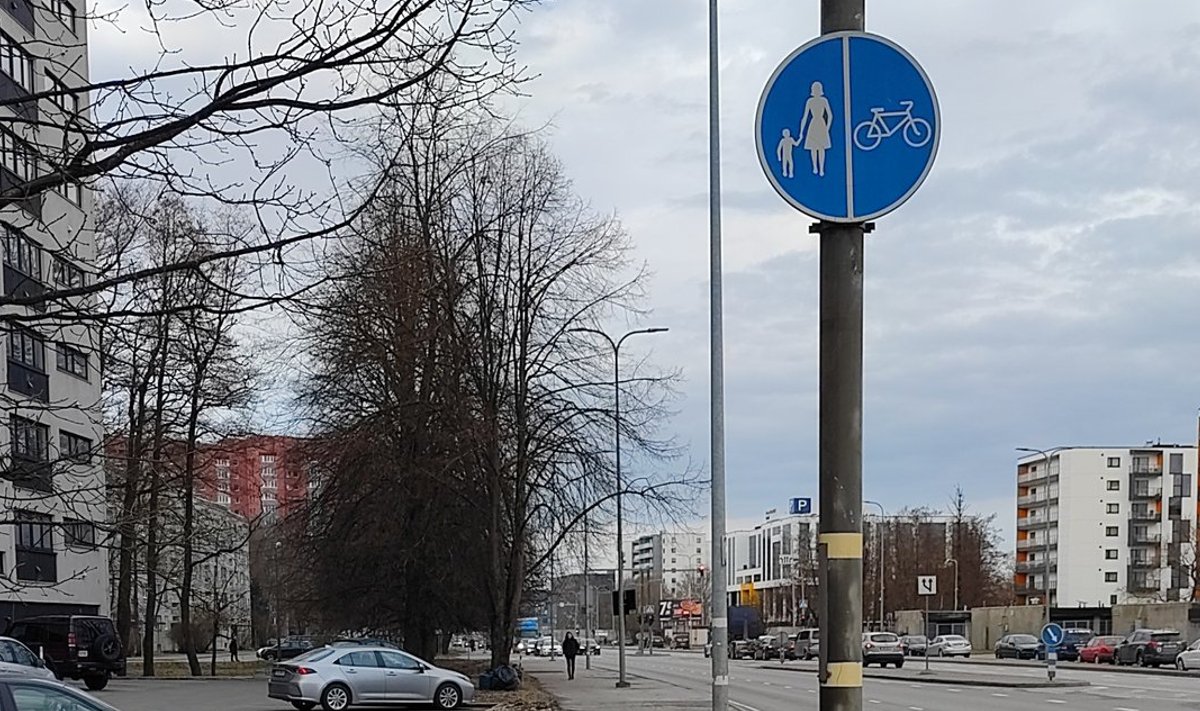 Jalgrattatee märk
