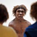 Ka neandertallastel esines kasvajaid
