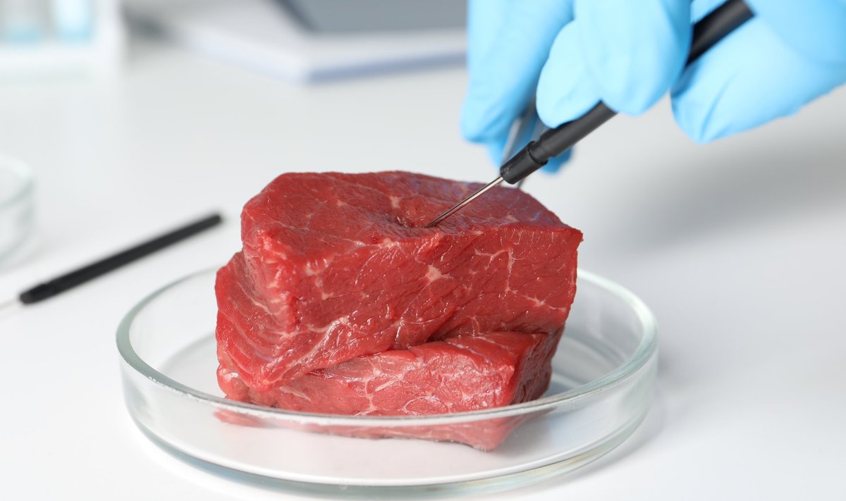 On ilmselt vaid aja küsimus, mil ka Euroopa Liit lubab sünteetiliselt kasvatatud liha.