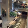 FOTOD: Teedrajav sündmus - Tallinna Ülikoolis avati kohvik, mida juhivad üliõpilased ise