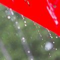 Spordiuudised: võrkpalliturniir "Valla Volle" mängiti vihmas ja tuules