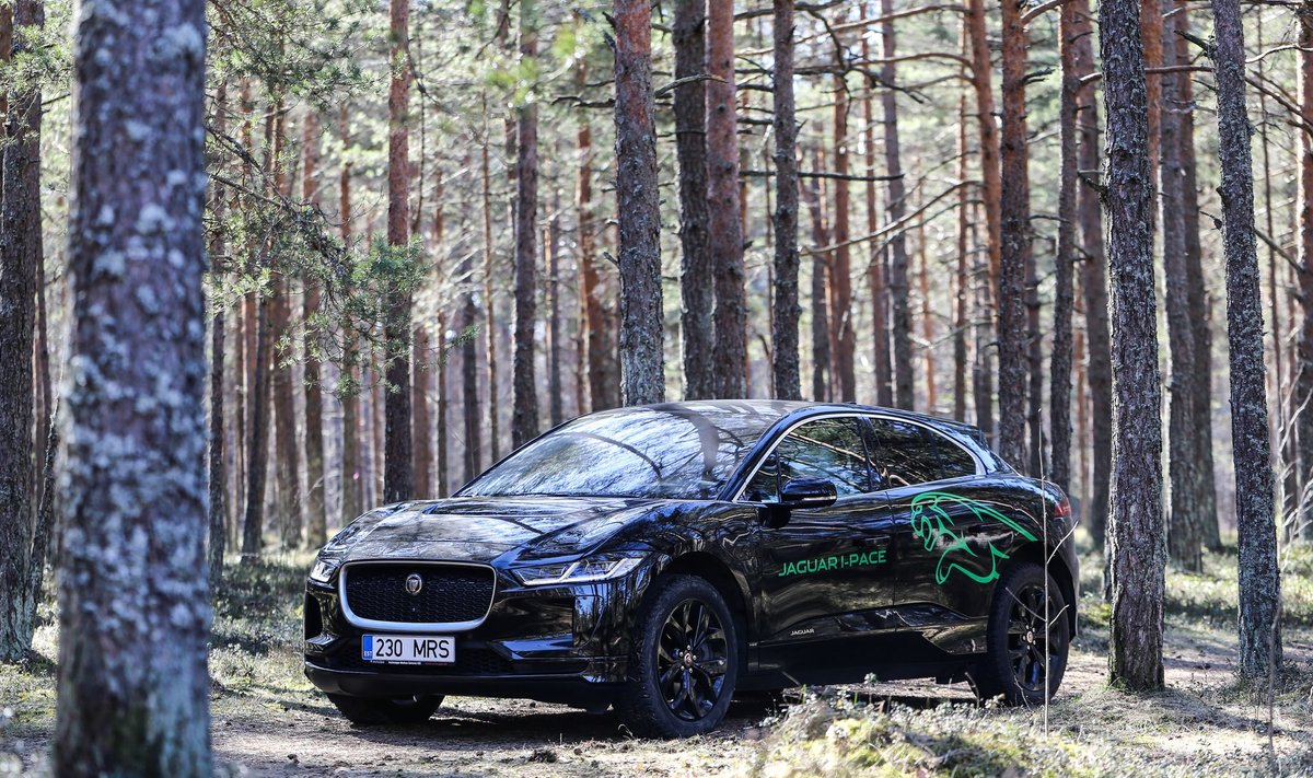 Jaguar I-Pace on kalleim Eestis müüdav elektriauto: First Edition maksab natuke üle 103 000 euro.