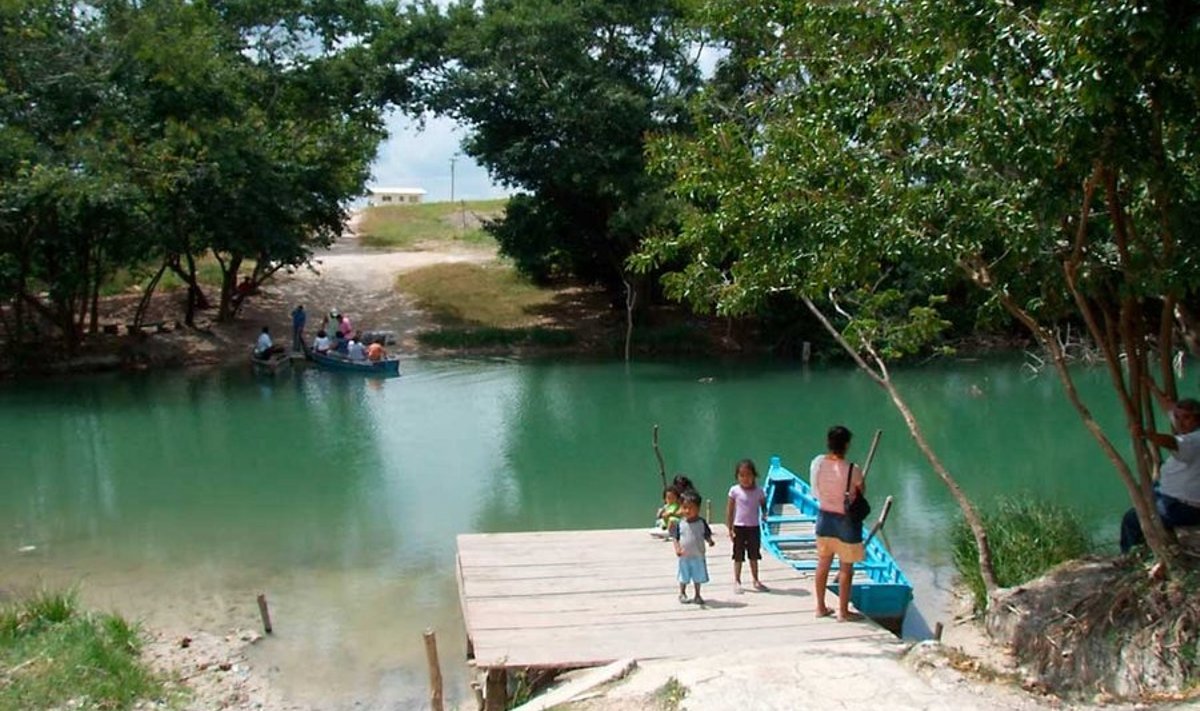 La Union, Mehhiko: Taamal üle jõe Blue Creek, Belize. (Toomas Mikkor)