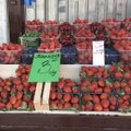 ФОТО | Импортные фрукты и овощи подорожали, но клубника на рынке дешевая. В чем причина?