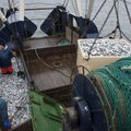 Kihnu ja Manija kalurid saavad üheks päevaks räimepüügi loa