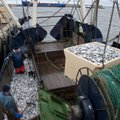 Eesti kalandusse ja rannapiirkondade arengusse investeeritakse 129,6 miljonit eurot