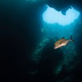 У побережья Мексики обнаружили очень глубокую подводную воронку