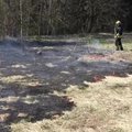 VIDEO: Kulupõlengud on täies hoos: Viljandimaal Vardja külas põles lõkkest süttinud kulu