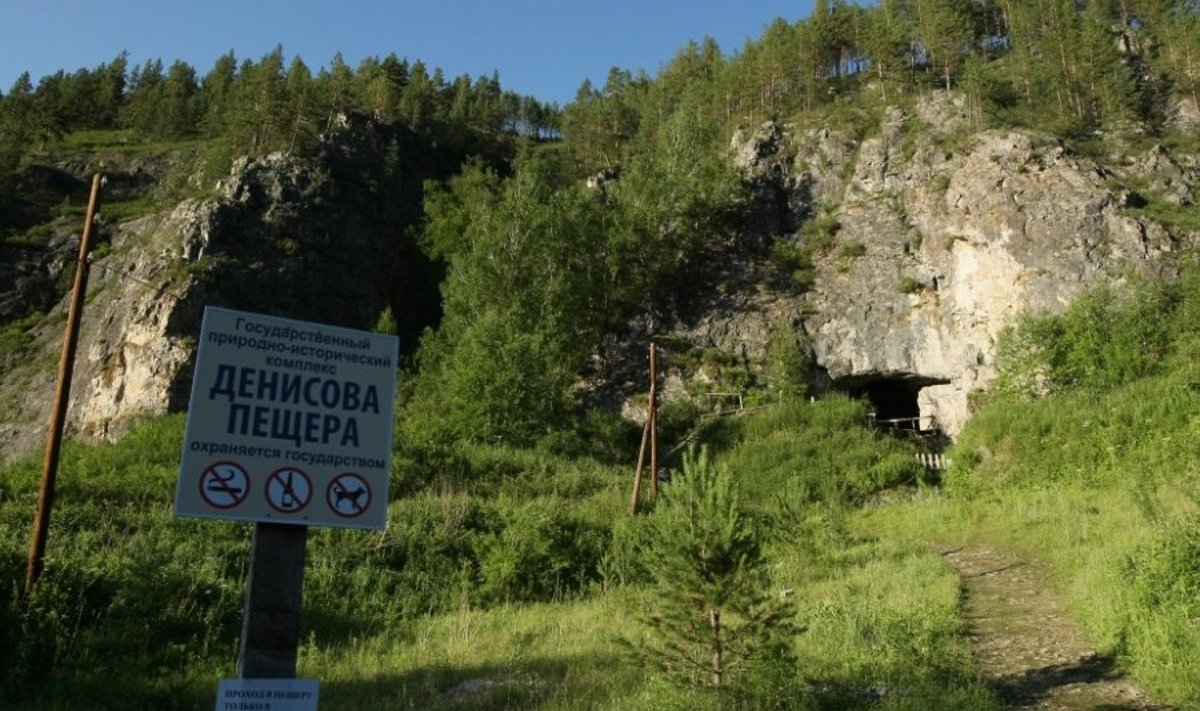 Denisova koopa suu. Foto: Aleksandr Krijašev, RIA Novosti