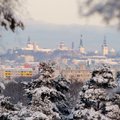 Таллинн лидирует в рейтинге самых популярных городов для путешествий россиян с детьми на зимние каникулы