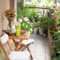 9 asendamatut nippi, kuidas seada sisse aed kortermaja rõdul