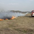 Päästeamet on taas hädas kulupõlengutega: eile põles Narva maantee ääres ligi 1000 ruutmeetrit