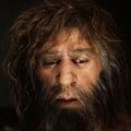 Valutava hambaga neandertali noormees kasutas juba 50 000 aastat tagasi aspiriini ja antibiootikume