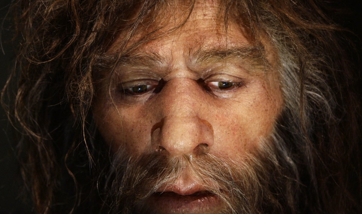 Hüperrealistlik neandertallase rekonstruktsioon muuseumis Krapinas Horvaatias.