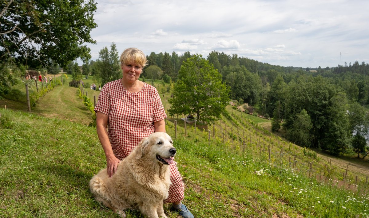 Janika Ilves koos koer Muriga Murimäe viinamäel.