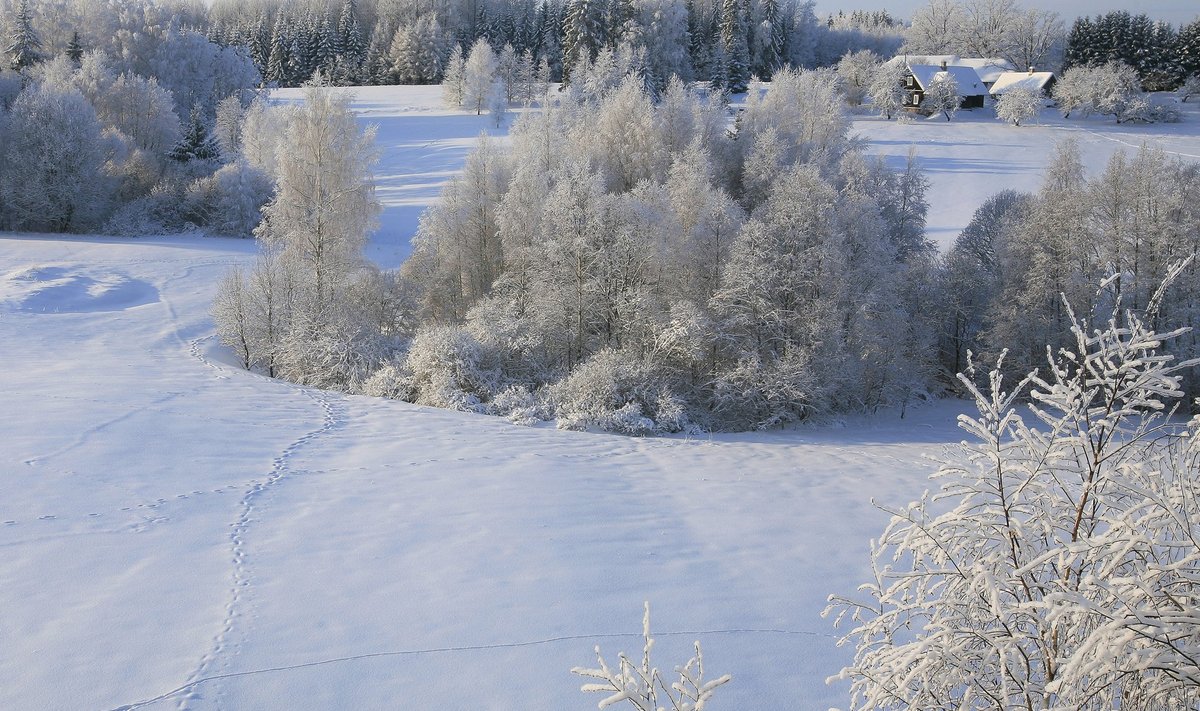 Klassikaline vaade talvisele Haanjamaa talumaastikule.