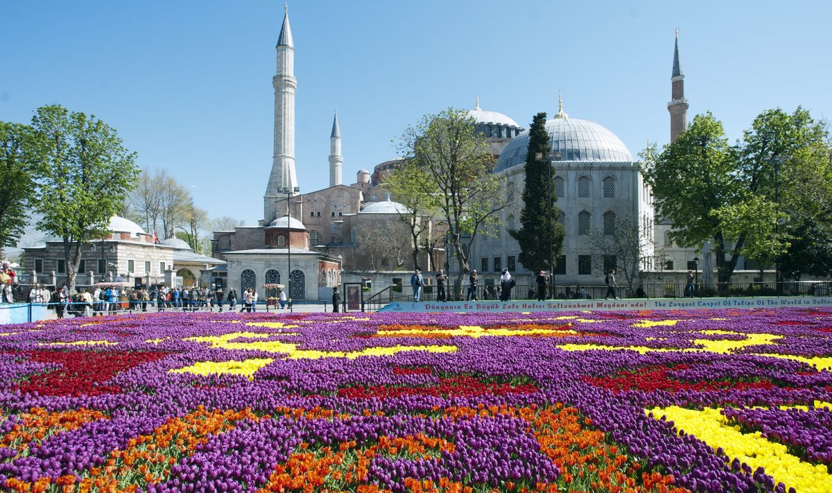 Istanbuli tulbifestivali ajal kaunistavad linna kümned miljoned tulbid. 