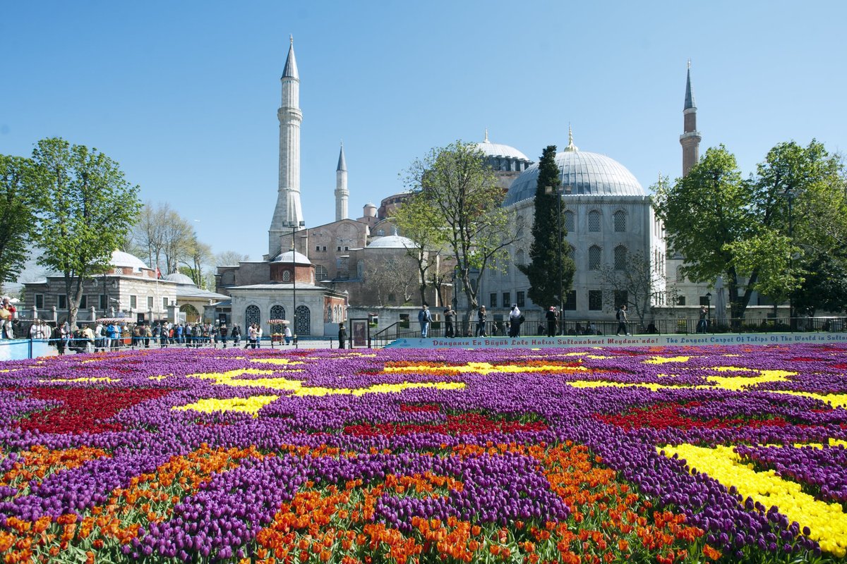 Tulpide kodu on Türgi, mitte Holland: milliseid lillevälju Istanbulis imetleda?