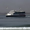 Bahama paberid: kadunud Tallinn-Helsingi laevaliini üks omanikke ajab maksuparadiisis äri