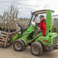 KIIRUSTA | Mitmete viljapuude istikud on otsakorral, kasvanud hinnad inimesi ei heiduta