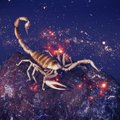 Kätte on jõudnud müstiline Skorpioni sodiaagimärgi aeg, mis paneb endasse vaatama