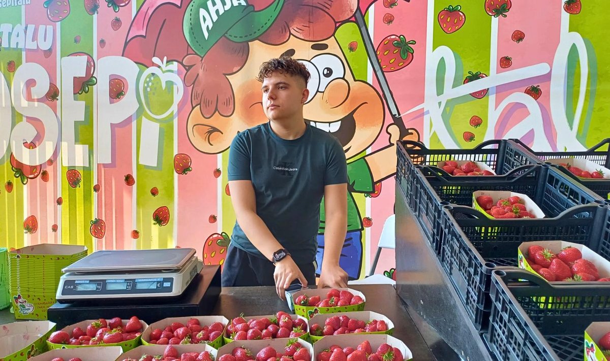 Joosepi talu rõõmsameelne müüja Vladislav sõnab, et Eesti maasikas läheb vaatamata kõrgele hinnale kenasti kaubaks.