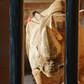 Траур в Таллиннском зоопарке. Носорог Кигома погиб в результате несчастного случая