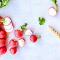 RETSEPTID REDISEGA | 14 vahvat ideed rõõmsalt punapõskse ja vitamiinidest pungil redise kasutamiseks